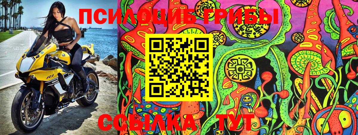 Псилоцибиновые грибы MAGIC MUSHROOMS  Вход с VPN  Моздок 